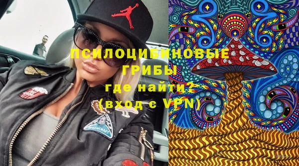 СК Абинск