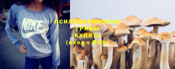 прущие крисы Алексин