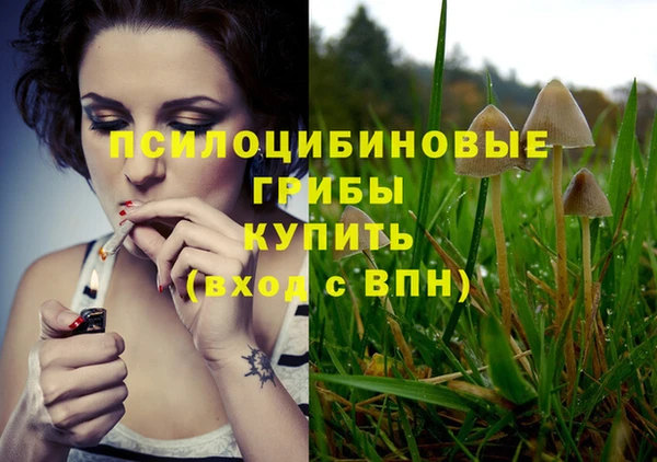 стаф Абаза