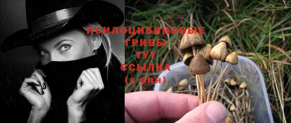 spice Семилуки