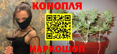 твердый Гай