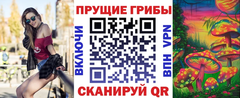 Псилоцибиновые грибы мицелий  сколько стоит  Заводоуковск 